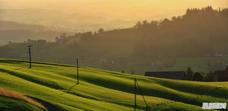 种植农业公司取个什么名字最霸气呢_农业创客空间起名字 - 星座运势
