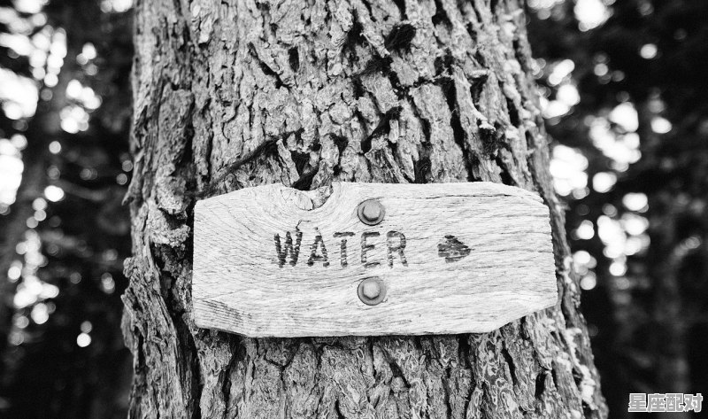 皮牢是现今什么地方_剪纸的名字有哪些 - 星座运势