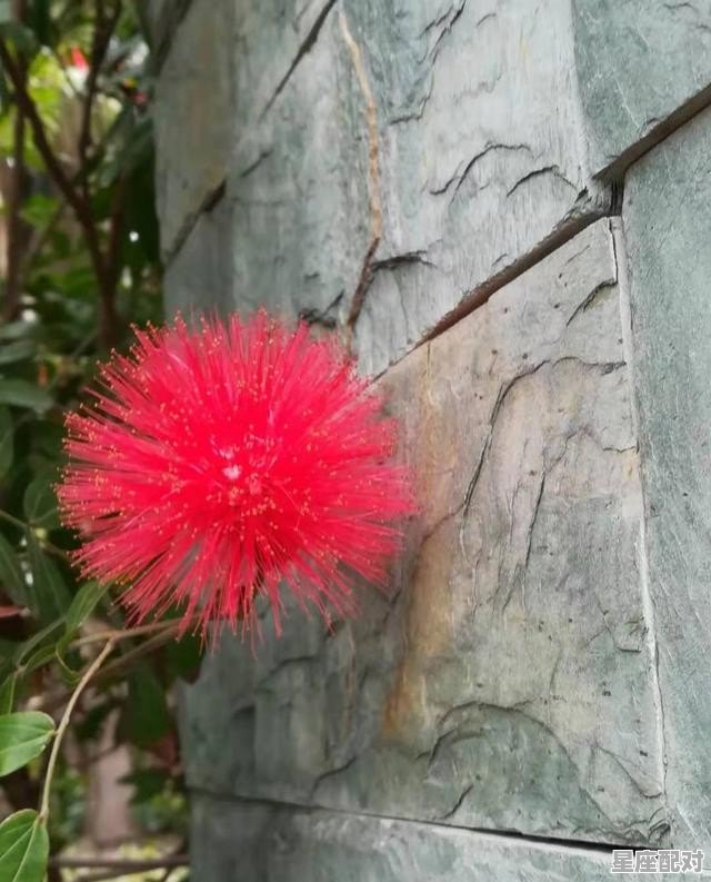 餐饮业诗词,用饭店名字造诗句 - 星座运势