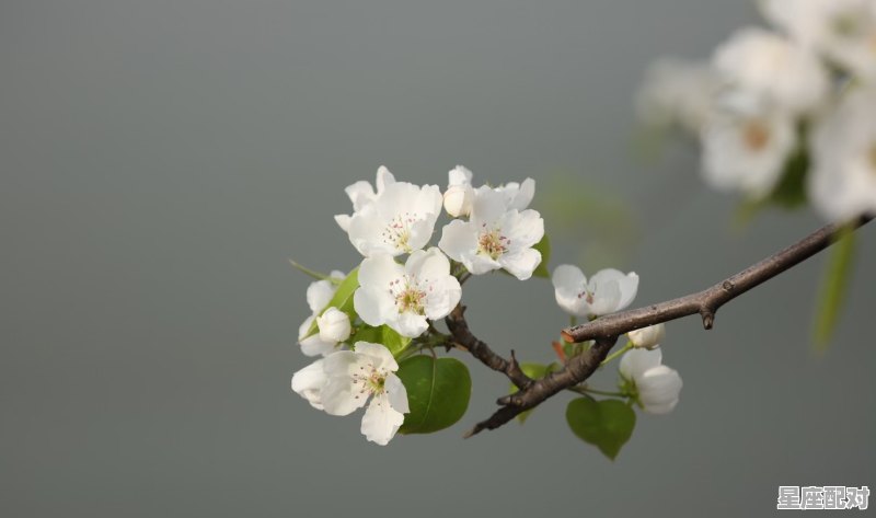 七个字的店铺名字,店铺取名字收费标准 - 星座运势