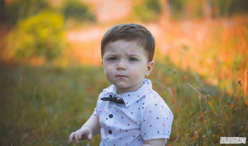 姓杨的男孩名字_姓杨的男孩,叫什么名字好 姓杨的男孩名字_姓杨的男孩,叫什么名字好 - 星座运势