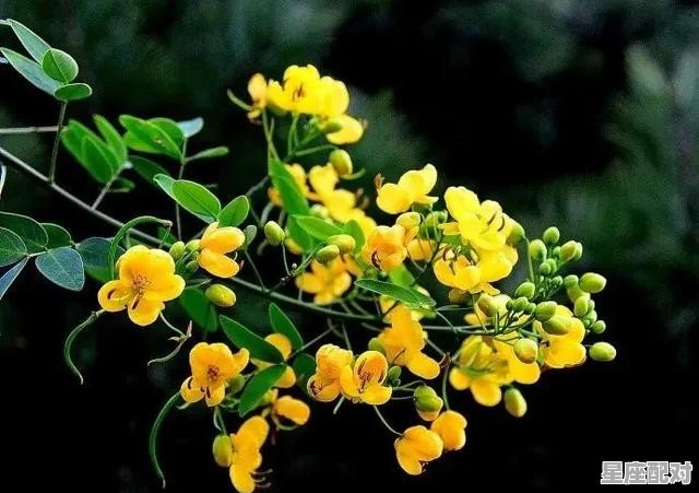 寓意升官的饭店名字_跪求饭店用的雅间名称 寓意升官的饭店名字_跪求饭店用的雅间名称 - 星座运势