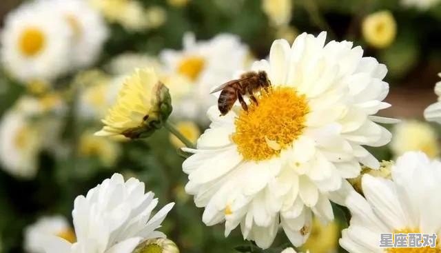 寓意升官的饭店名字_跪求饭店用的雅间名称 寓意升官的饭店名字_跪求饭店用的雅间名称 - 星座运势