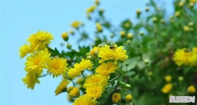 寓意升官的饭店名字_跪求饭店用的雅间名称 寓意升官的饭店名字_跪求饭店用的雅间名称 - 星座运势