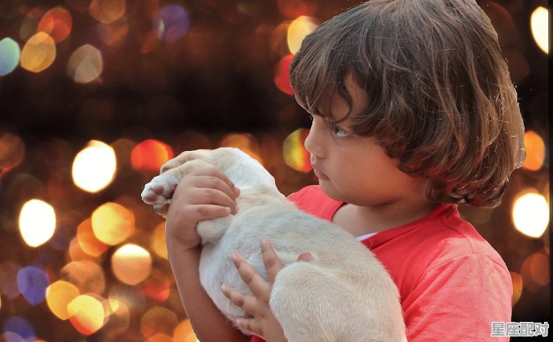 关于思念想念兄弟的网名，思念的网名名字男孩 - 星座运势