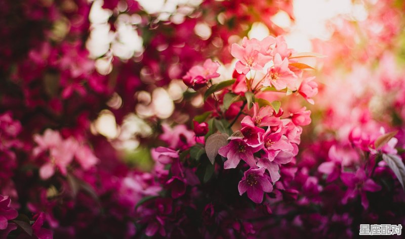 天蝎女是不是越不理她越喜欢你_同居越久越爱对方的星座 天蝎女是不是越不理她越喜欢你_同居越久越爱对方的星座 - 星座运势