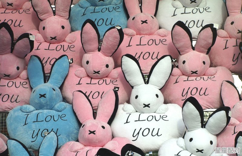 韩国有姓熊的吗_楚国的国姓是什么 韩国有姓熊的吗_楚国的国姓是什么 - 星座运势