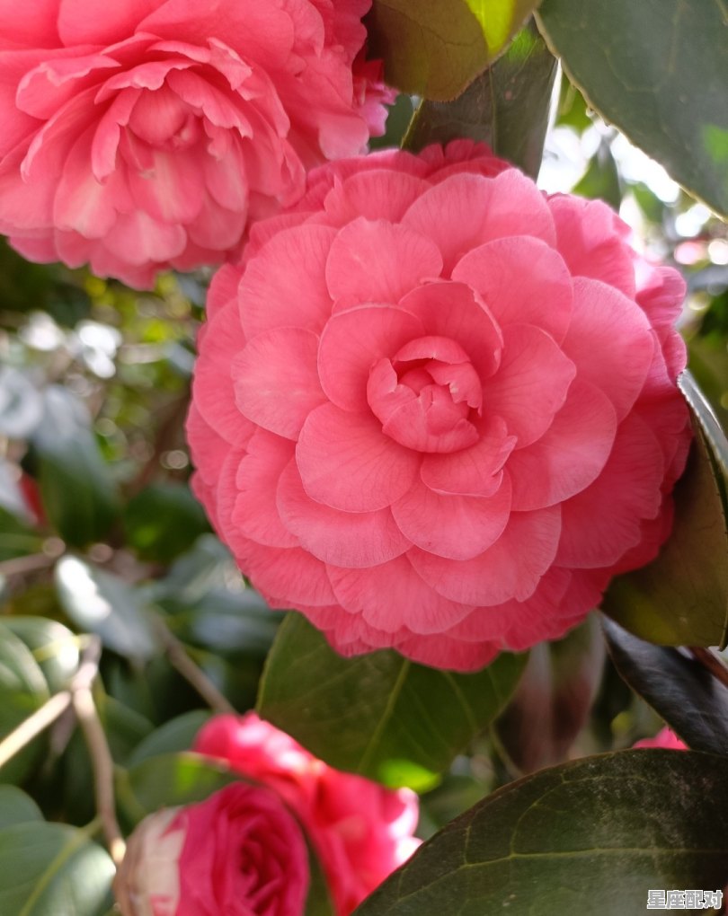 求小说中酒店的名称_古代酒楼的名字,雅气一点 求小说中酒店的名称_古代酒楼的名字,雅气一点 - 星座运势