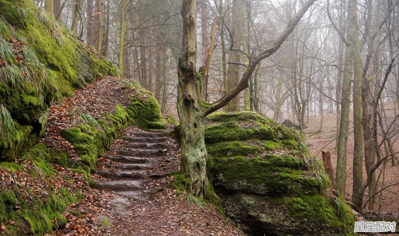 广东人安新婚床吉祥语,广东婚嫁习俗安床 广东人安新婚床吉祥语,广东婚嫁习俗安床 - 星座运势