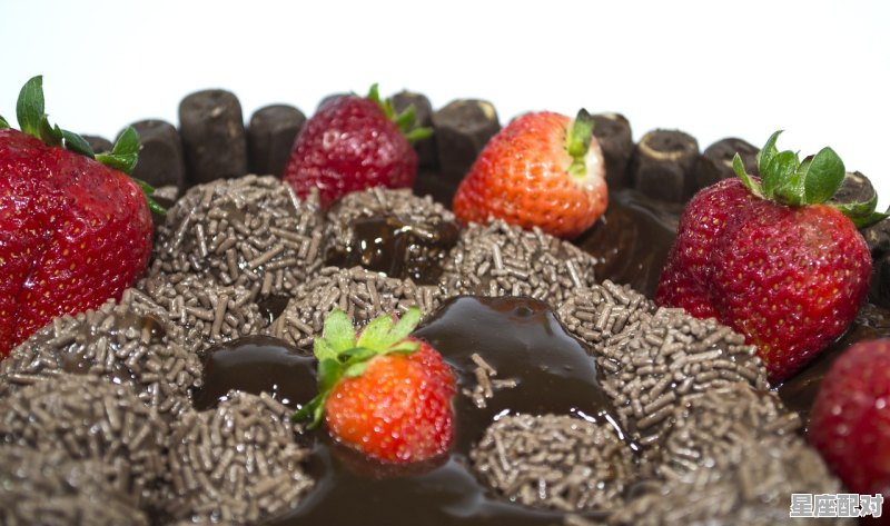 12月22日生日巧克力：侬本多情（Glossy Chocolate Gateau） - 星座运势
