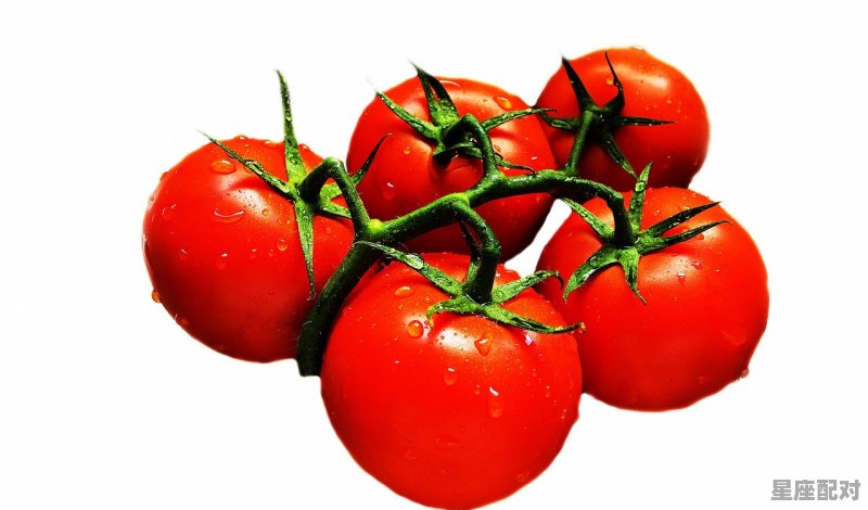 11月28日生日巧克力：番茄红情（Tomato Marriage Chocolate） - 星座运势