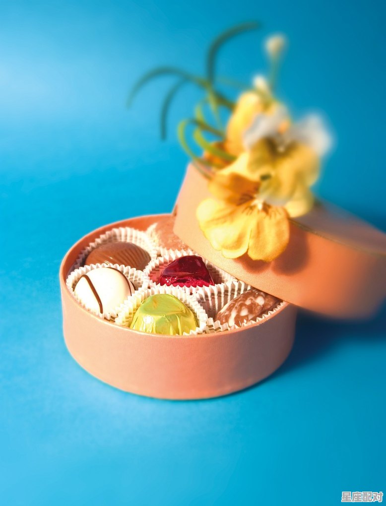 1月28日生日巧克力：三层圆饼（Three－Chocolate Squares） - 星座运势