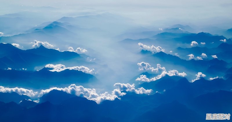 8月24日-9月02日(松树) - 星座运势