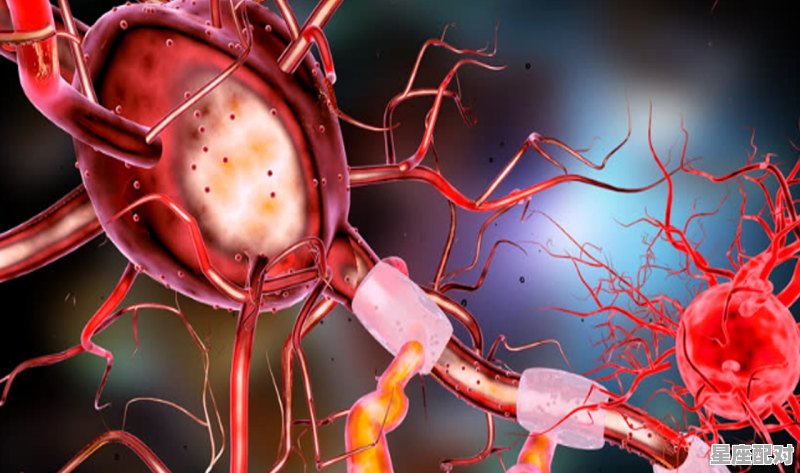 卯时头生是什么意思? 卯时头生是什么意思? - 星座运势
