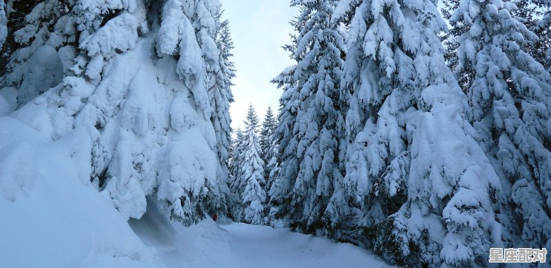 好听的汪姓男孩名字大全 - 星座运势