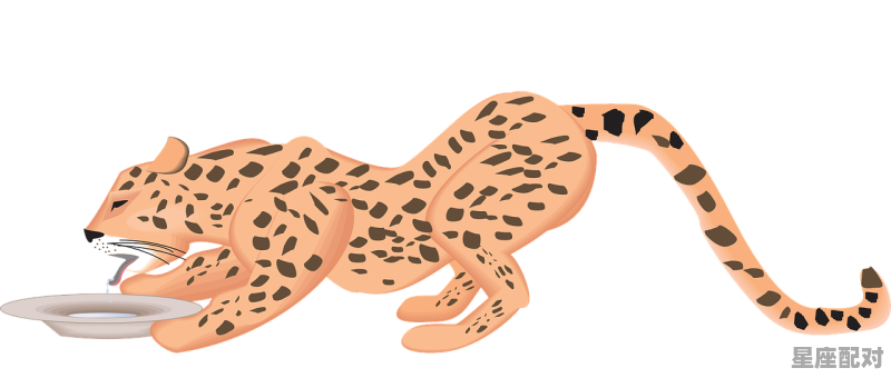 7,箕宿 (箕水豹) - 星座运势