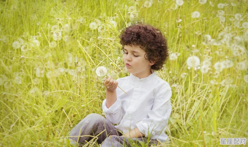 好听的夏姓男孩名字大全 好听的夏姓男孩名字大全 - 星座运势