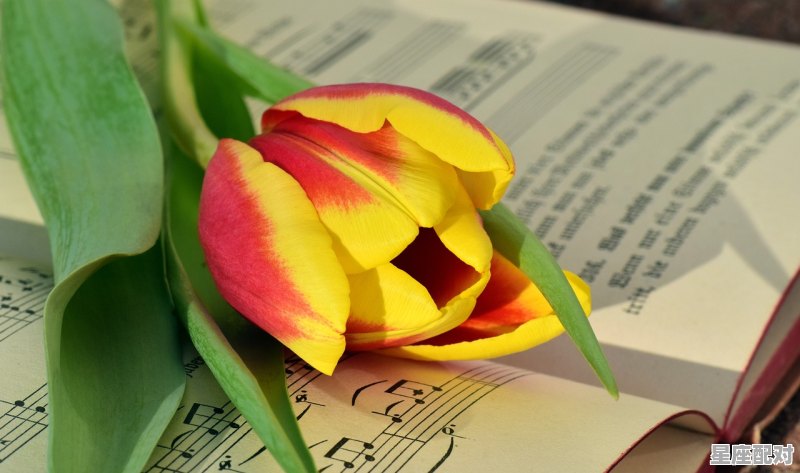 白羊座爱情路上的绊脚石 - 星座运势