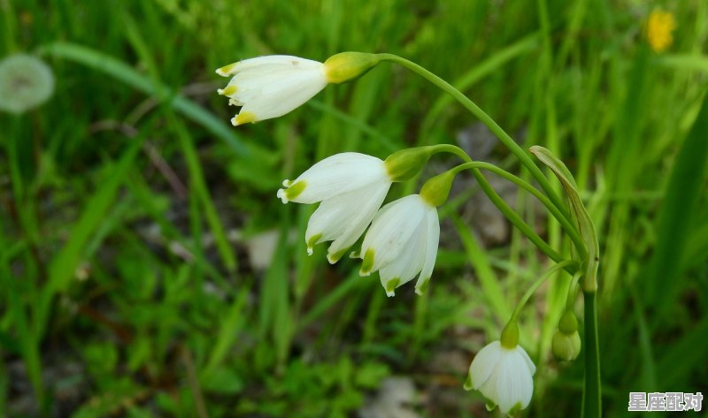 白羊男没那么爱你的表现 白羊男没那么爱你的表现 - 星座运势