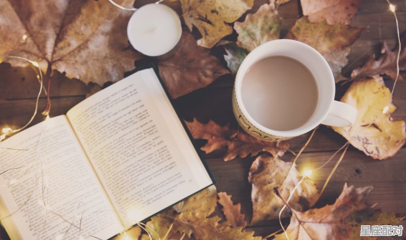 白羊座的代表饮料 白羊座的代表饮料 - 星座运势