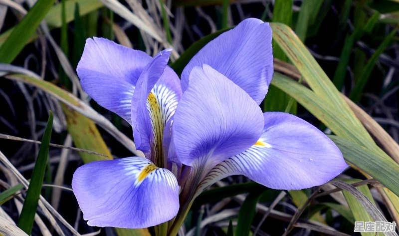 白羊座4大区间解析 白羊座4大区间解析 - 星座运势