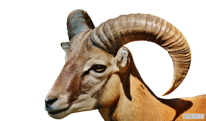 为什么白羊座会被孤立? 为什么白羊座会被孤立? - 星座运势