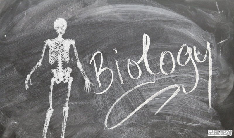 心理星座学中的集体潜意识与原型 - 星座运势