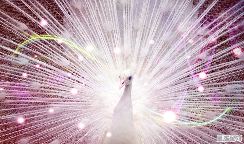 海王星VS.十二星座 - 星座运势