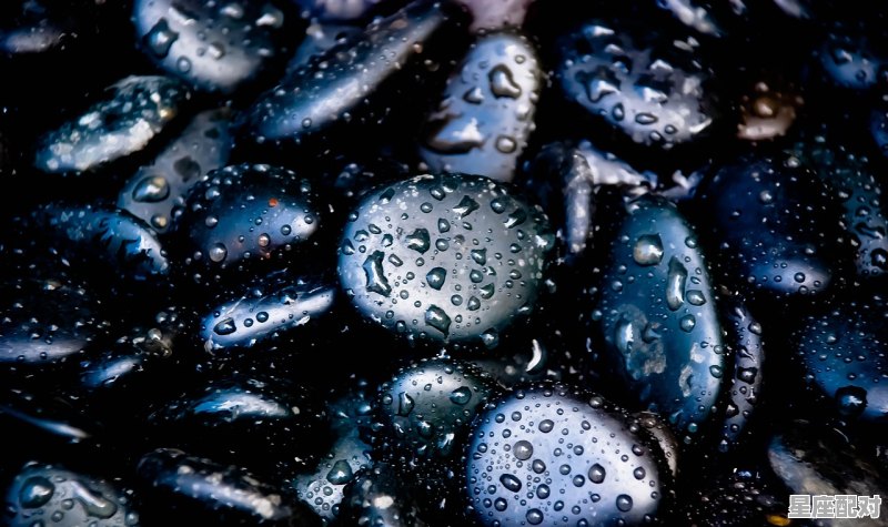 火星VS.十二星座 - 星座运势