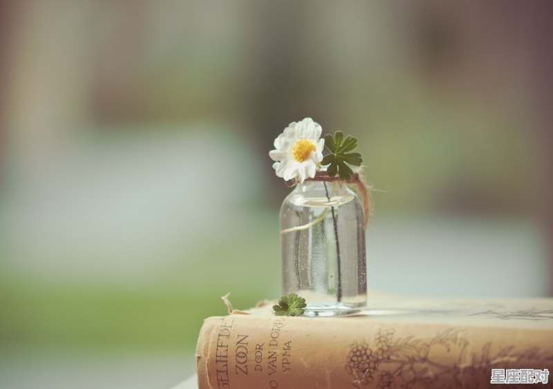 与情绪有关的星座 - 星座运势