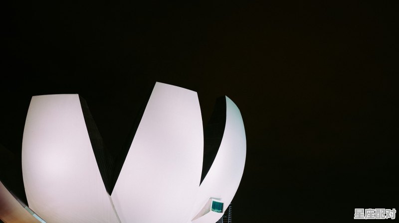 水瓶座的正负面性格特点 - 星座运势