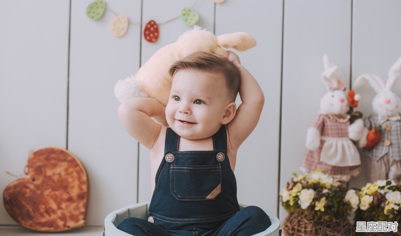 巨蟹座的韩版兔宝贝 巨蟹座的韩版兔宝贝 - 星座运势