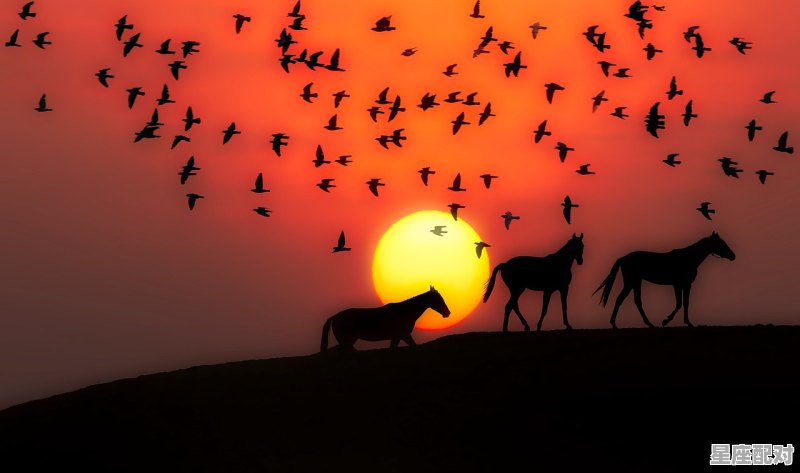 巨蟹座分手后做的第一件事 巨蟹座分手后做的第一件事 - 星座运势