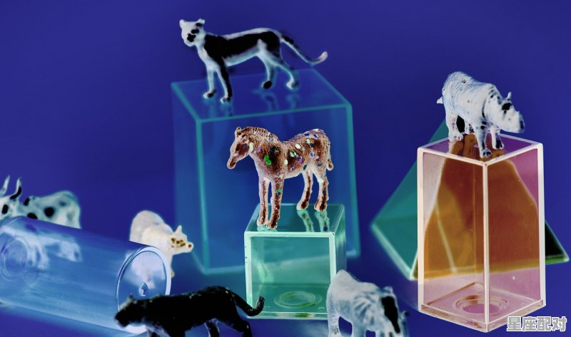 狮子座考试时的一些小建议 狮子座考试时的一些小建议 - 星座运势