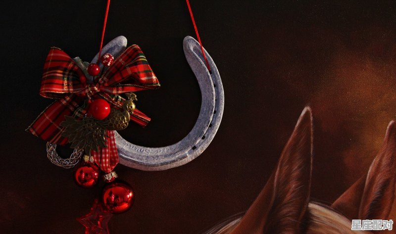 狮子座金色圣诞节的幸运物 - 星座运势