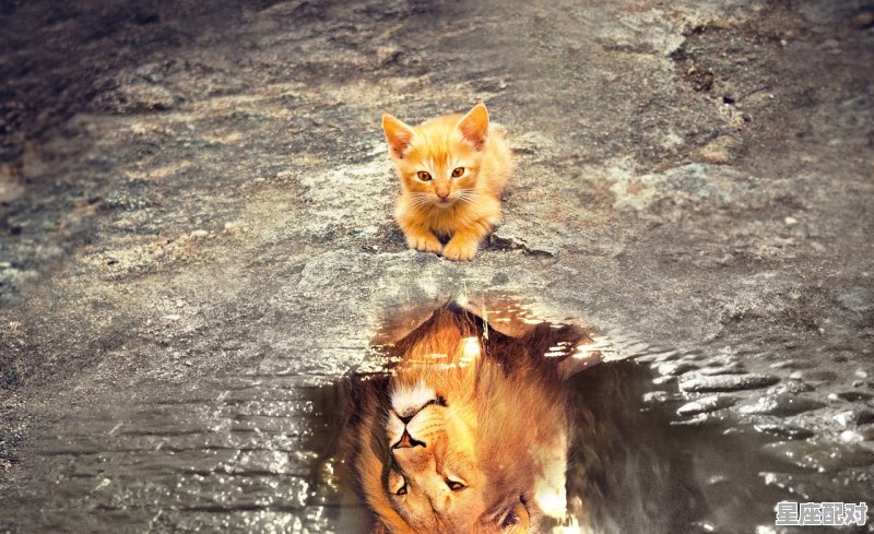 给狮子座的寓言 - 星座运势