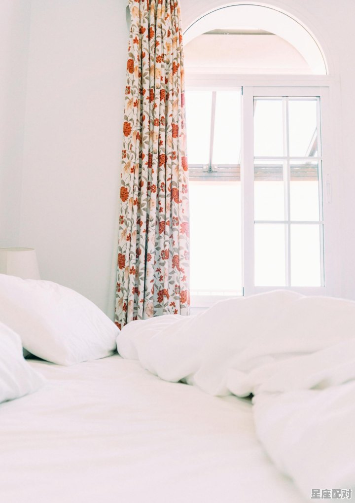 狮子座在酒店如何约会? 狮子座在酒店如何约会? - 星座运势