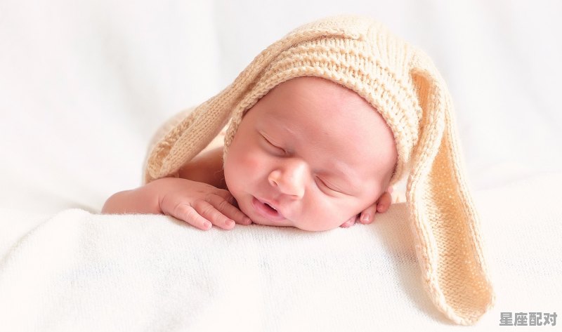 狮子座的韩版兔宝贝 狮子座的韩版兔宝贝 - 星座运势