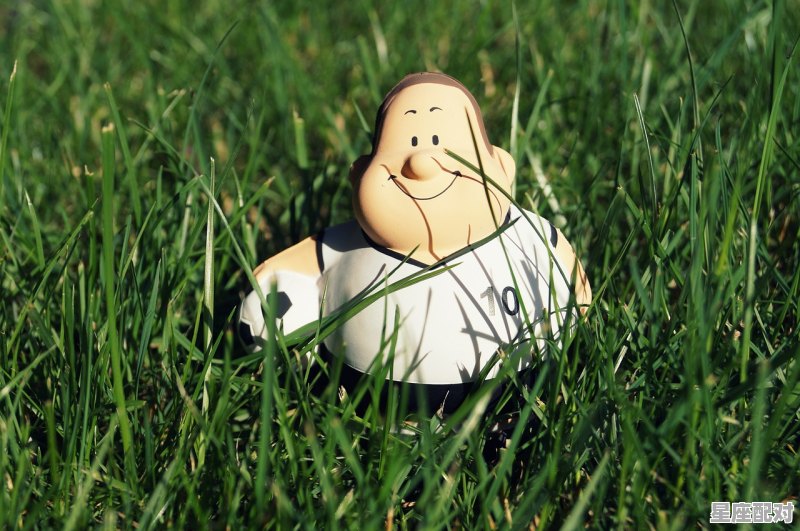 狮子座的压力来源 - 星座运势