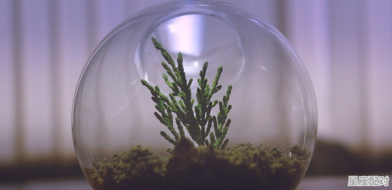 让狮子座追求者打退堂鼓的小方法 - 星座运势