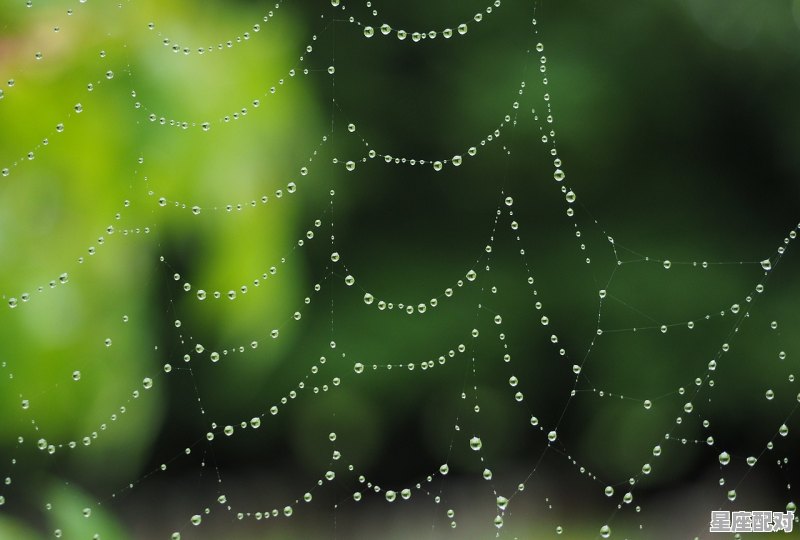 巨蟹座图片大全【专辑6】 巨蟹座图片大全【专辑6】 - 星座运势