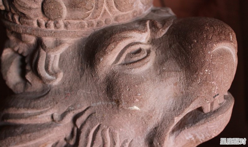 狮子座图片大全【专辑5】 狮子座图片大全【专辑5】 - 星座运势