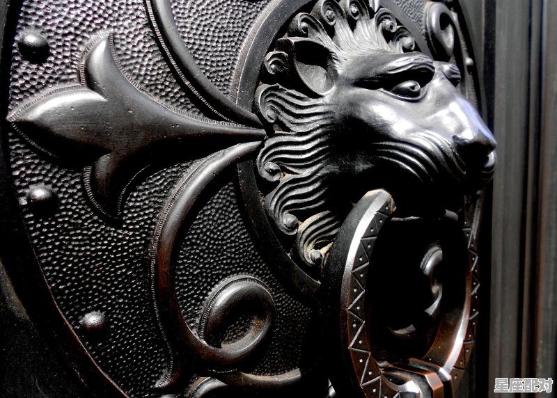 狮子座图片大全【专辑9】 狮子座图片大全【专辑9】 - 星座运势