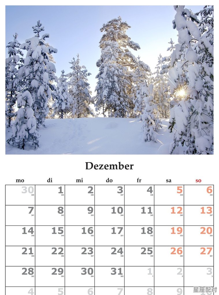 12.狮子座(7月23日—8月22日) 12.狮子座(7月23日—8月22日) - 星座运势