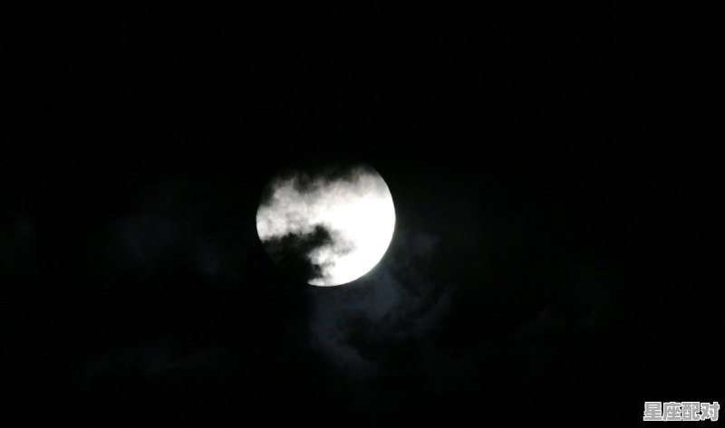 海豚座的传说 海豚座的传说 - 星座运势