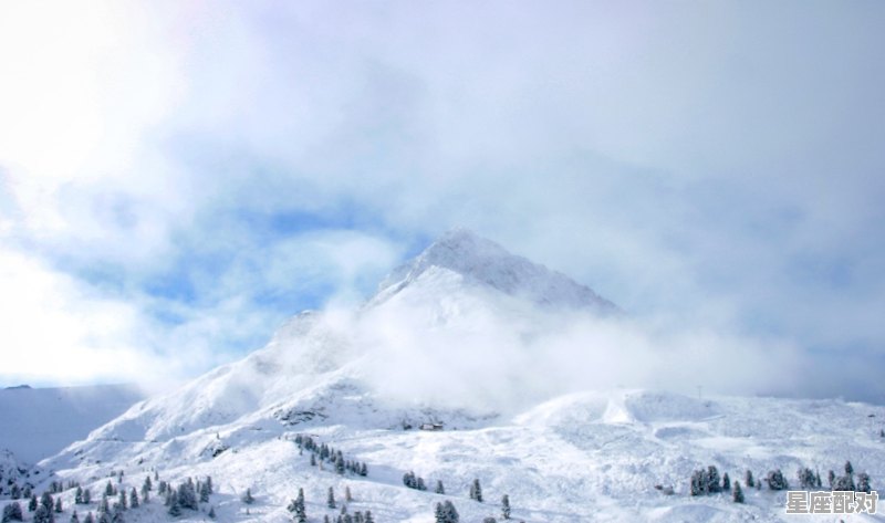 双鱼座物语:母子情深 双鱼座物语:母子情深 - 星座运势
