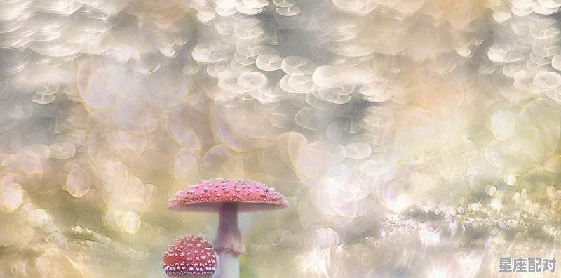 水瓶座的爱情败给了谁？ - 星座运势