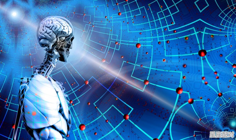 双子座的夫妻相处模式是什么？ - 星座运势