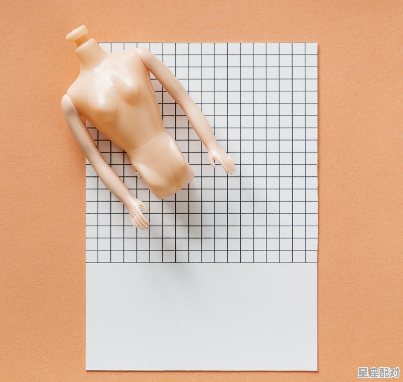 射手座的夫妻相处模式是什么？ - 星座运势