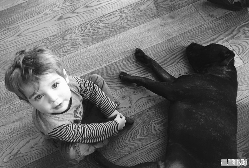 周冬雨刘昊然星座,周冬雨什么星座 周冬雨刘昊然星座,周冬雨什么星座 - 星座运势